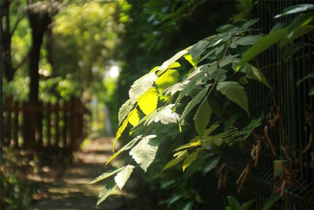 线下少儿思维能力教育市场稳步上升